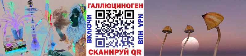 Псилоцибиновые грибы ЛСД  Большой Камень 