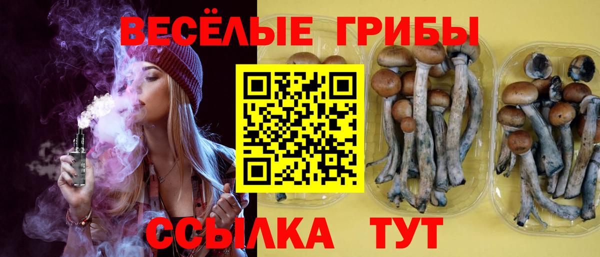 Галлюциногенные грибы Psilocybine cubensis  Вход с VPN  Большой Камень  Галлюциногенные грибы прущие грибы 